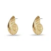 GOLD NAUTILUS EARRINGS