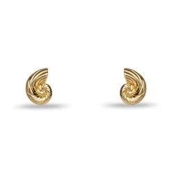 GOLD NAUTILUS SHELL STUD EARRINGS